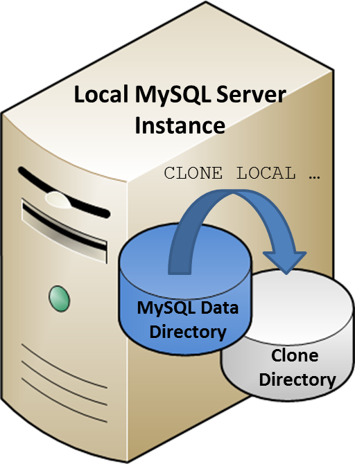 Diagram showing a local cloning operation.