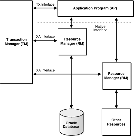 Possible DTP Model