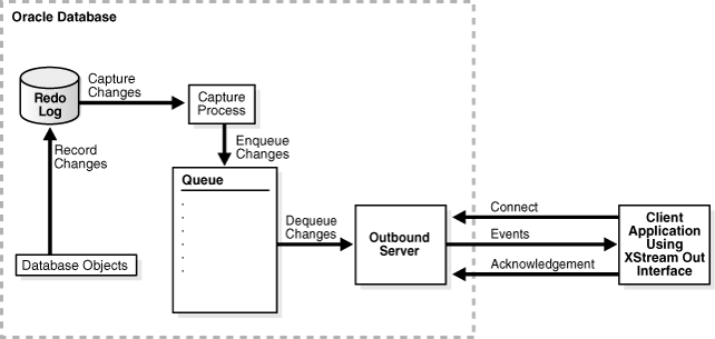 Description of Figure 1-1 follows