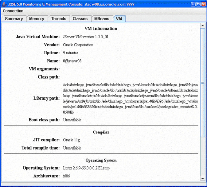 VM Tab of the JConsole Interface
