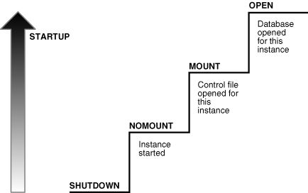 Description of Figure 13-3 follows