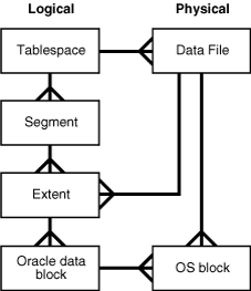 Description of Figure 12-1 follows