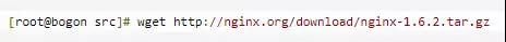  Nginx